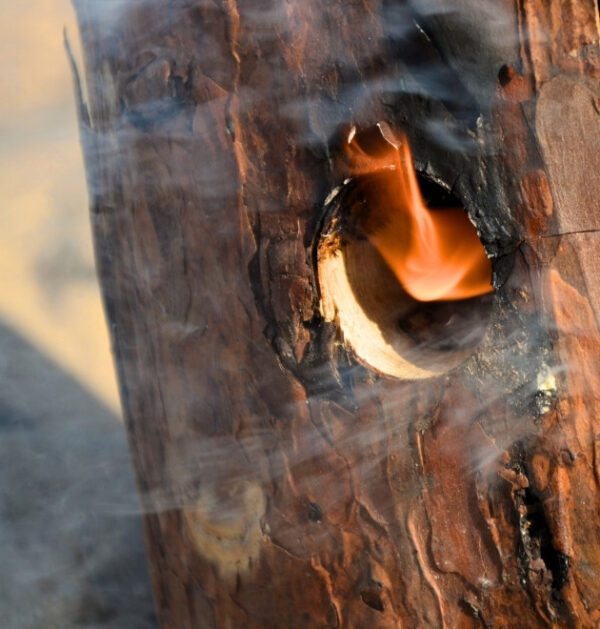 Woodle świeca ogrodowa na komary