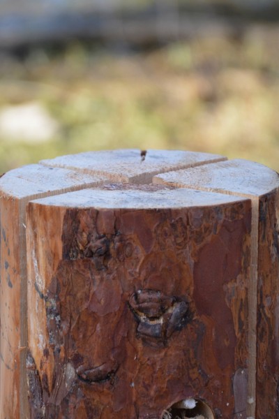 woodmate przenośne ognisko