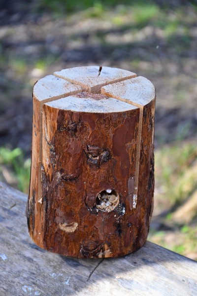 woodmate przenośne ognisko